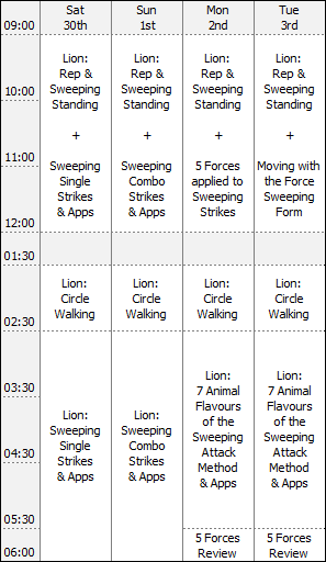 London Bagua intensive training workshop timetable