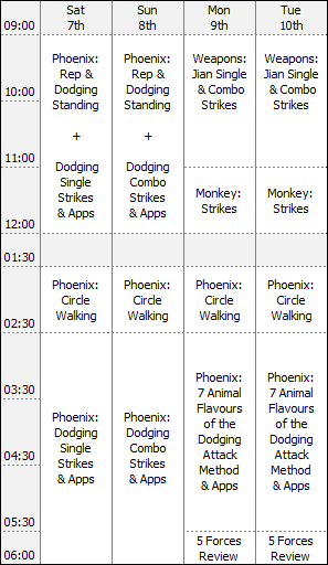 London Bagua intensive training workshop timetable