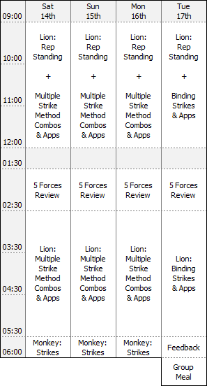London Bagua intensive training workshop timetable