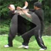 Introduction to the 8 animal systems of the Yin Style Bagua Martial Art